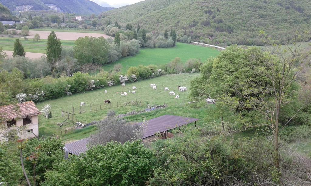 Agriturismo Cardito Santa Rufina Exterior photo